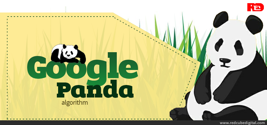 How to Handle Latest Google Panda Update - RedCube Digital Media