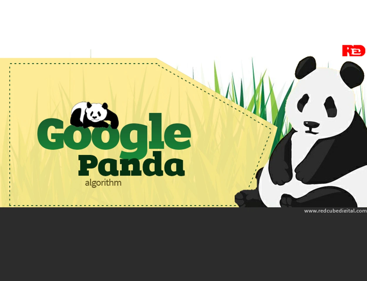 Google Panda Update