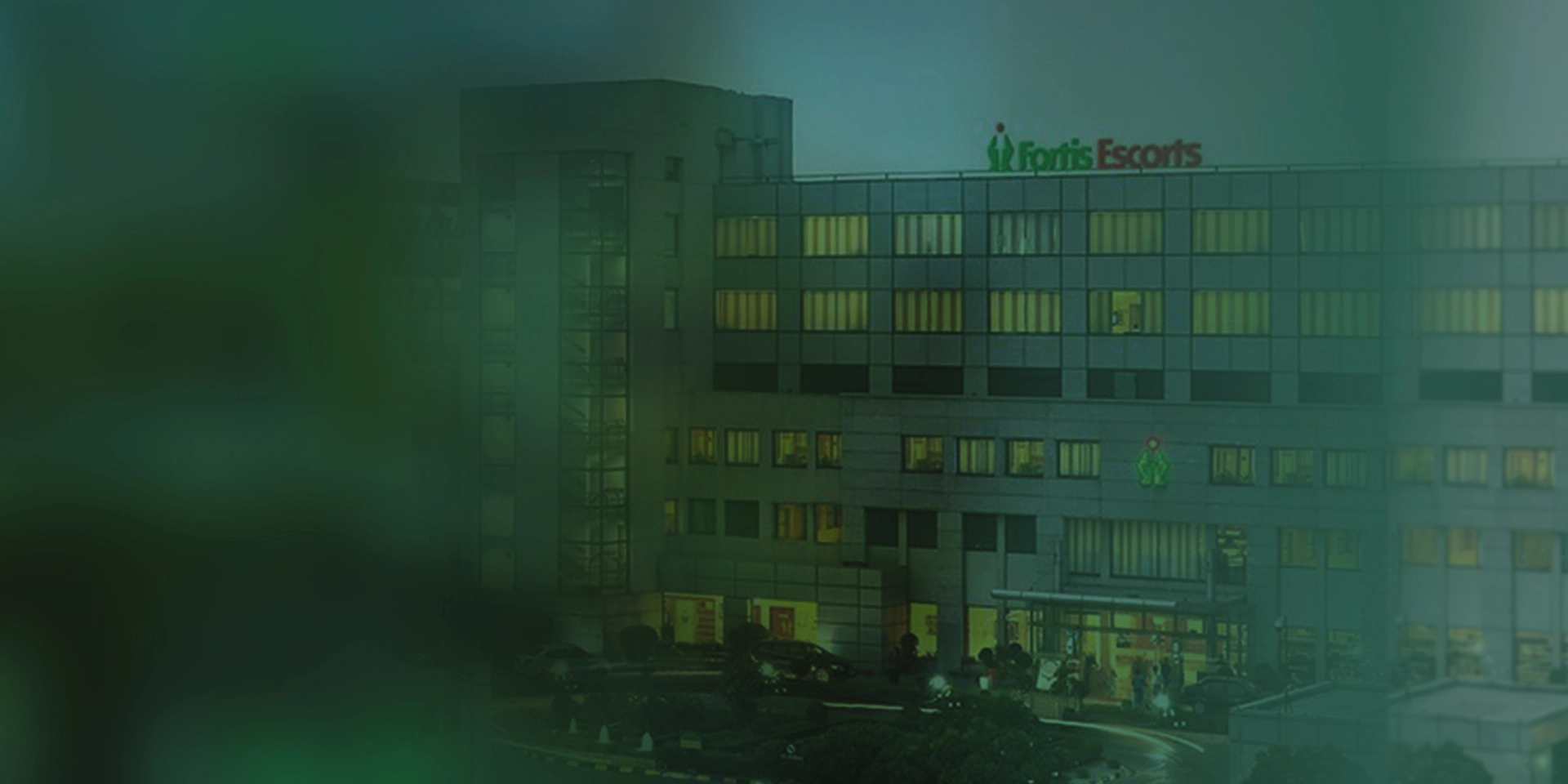 fortis