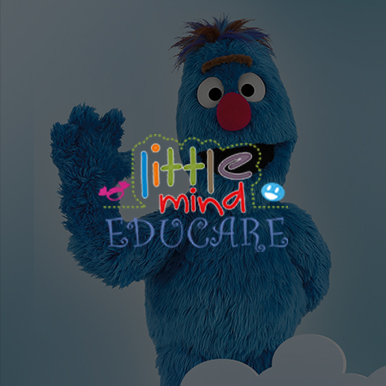 littlemindeducare