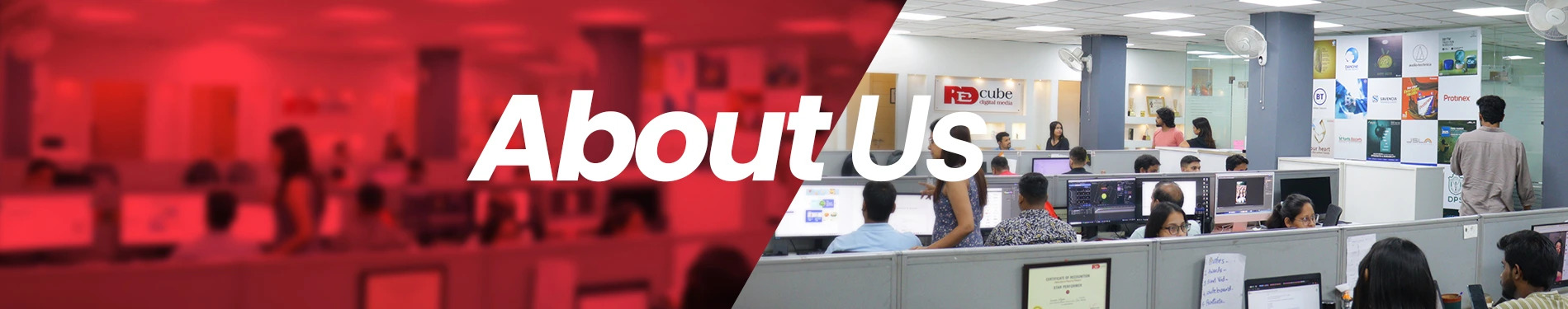 About us